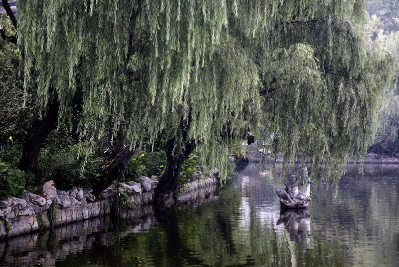 图片[13]-勺湖-老淮安