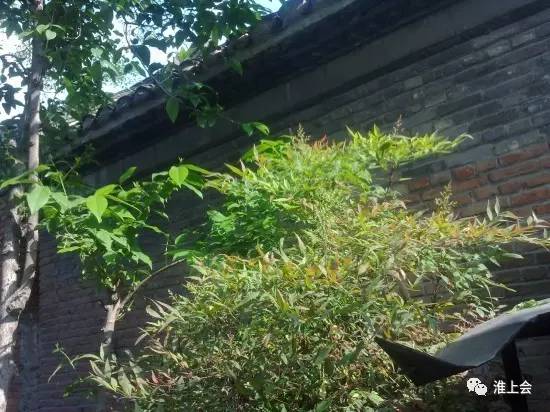 图片[68]-淮安街巷 | 更楼街-老淮安