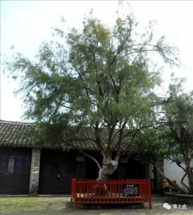 图片[35]-淮安街巷 | 驸马巷-老淮安