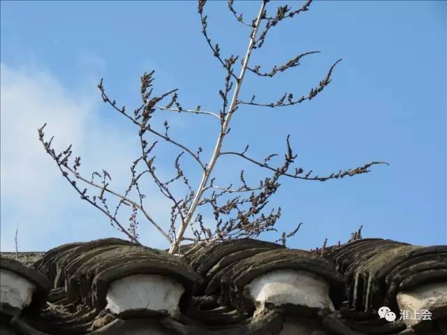 图片[21]-淮安街巷 | 更楼街-老淮安