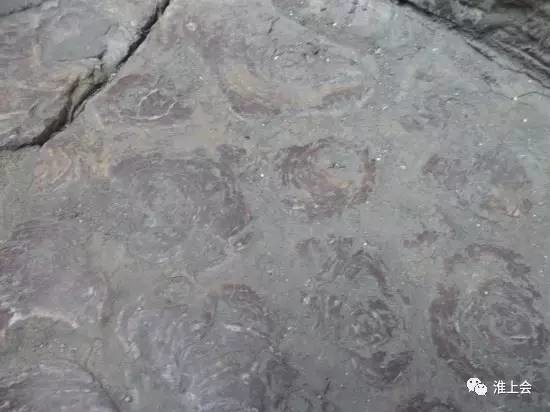 图片[57]-淮安街巷 | 双刀刘巷-老淮安