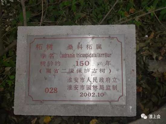 图片[68]-淮安街巷 | 双刀刘巷-老淮安