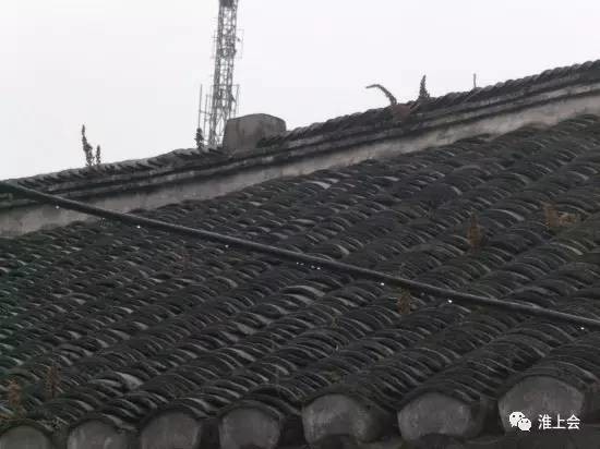 图片[14]-淮安街巷 | 小鱼市口西街-老淮安