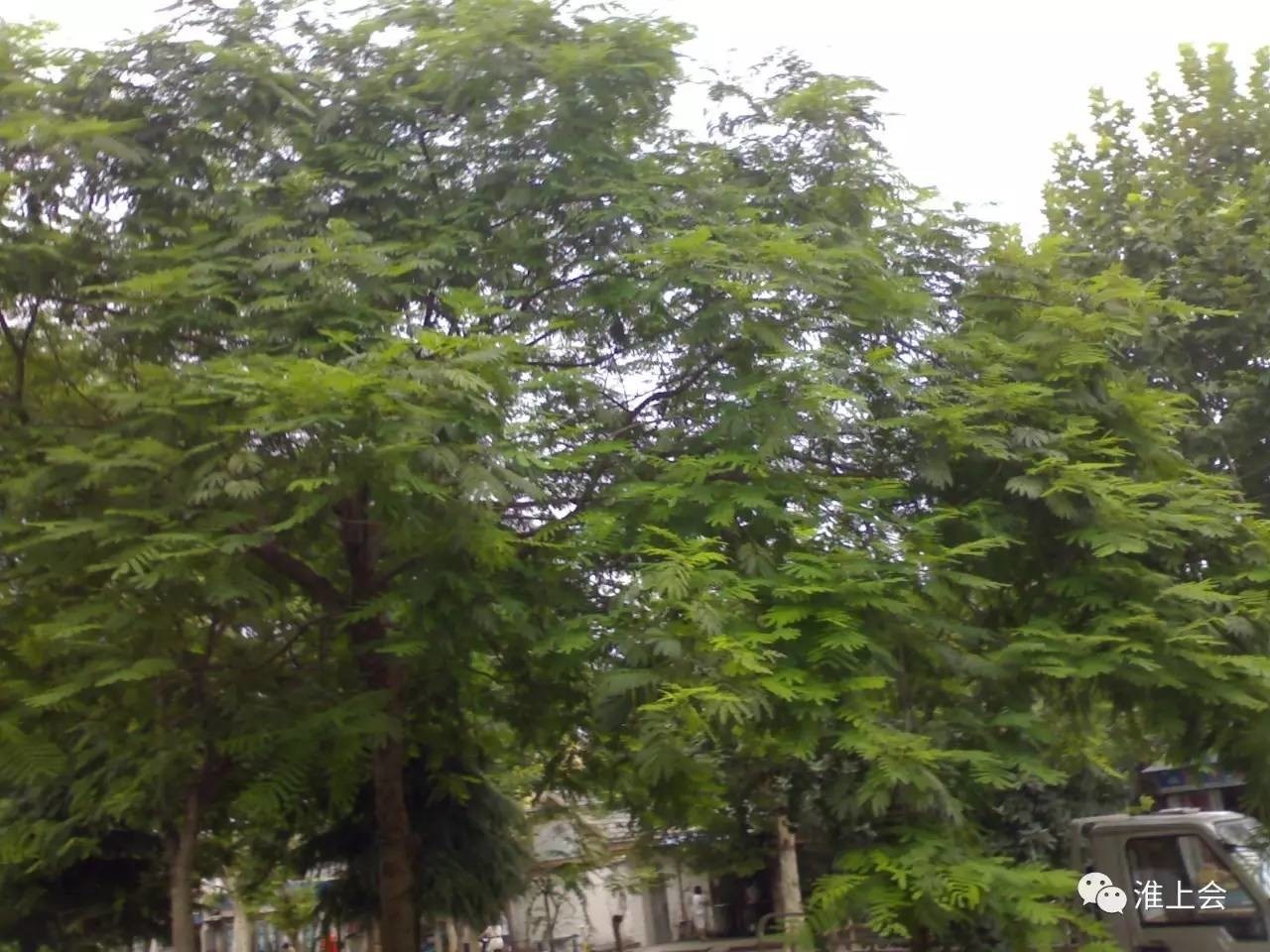 图片[49]-淮安街巷 | 堂子巷-老淮安