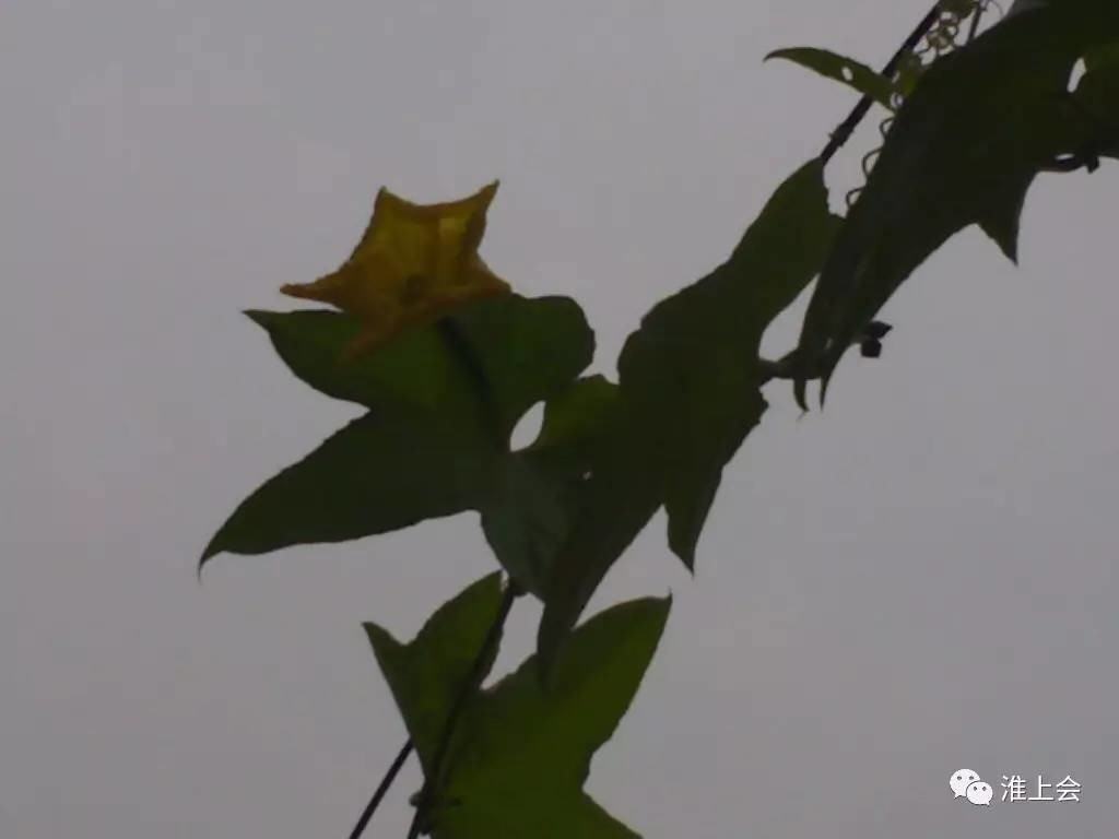 图片[54]-淮安街巷 | 堂子巷-老淮安