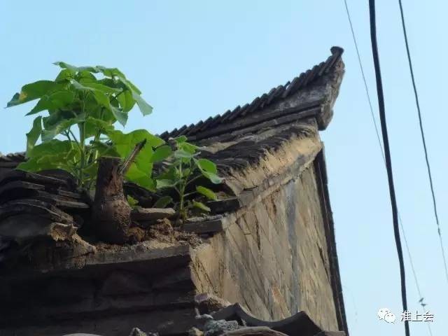 图片[23]-淮安街巷 | 县东街—县西街-老淮安