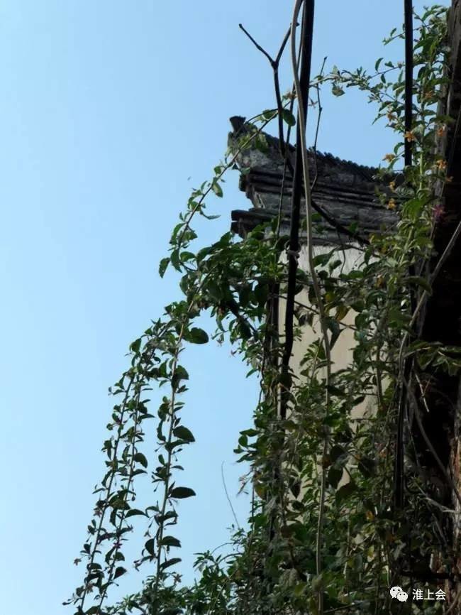 图片[74]-淮安街巷 | 县东街—县西街-老淮安