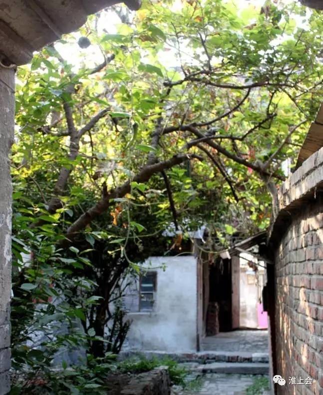 图片[27]-淮安街巷 | 龙窝巷-老淮安