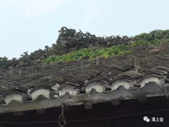 图片[30]-淮安街巷 | 双刀刘巷-老淮安