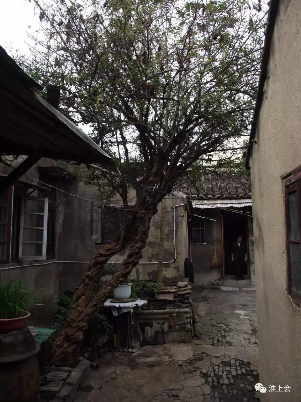 图片[53]-淮安街巷 | 双刀刘巷-老淮安