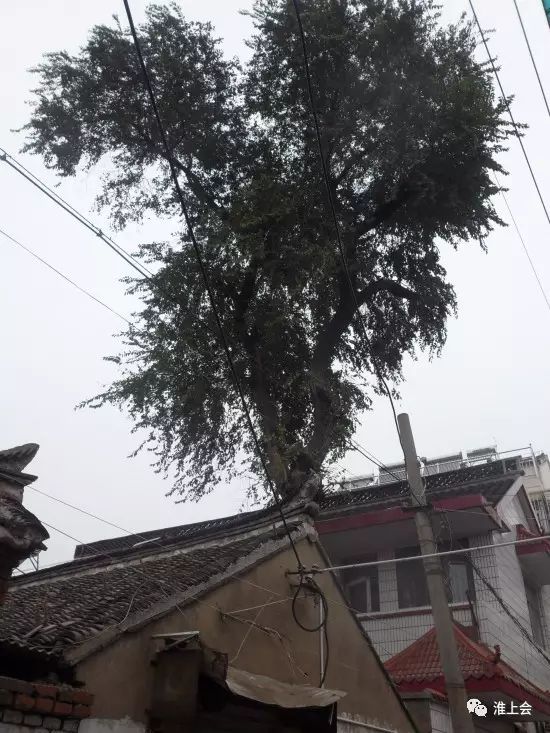 图片[72]-淮安街巷 | 太清观街-老淮安
